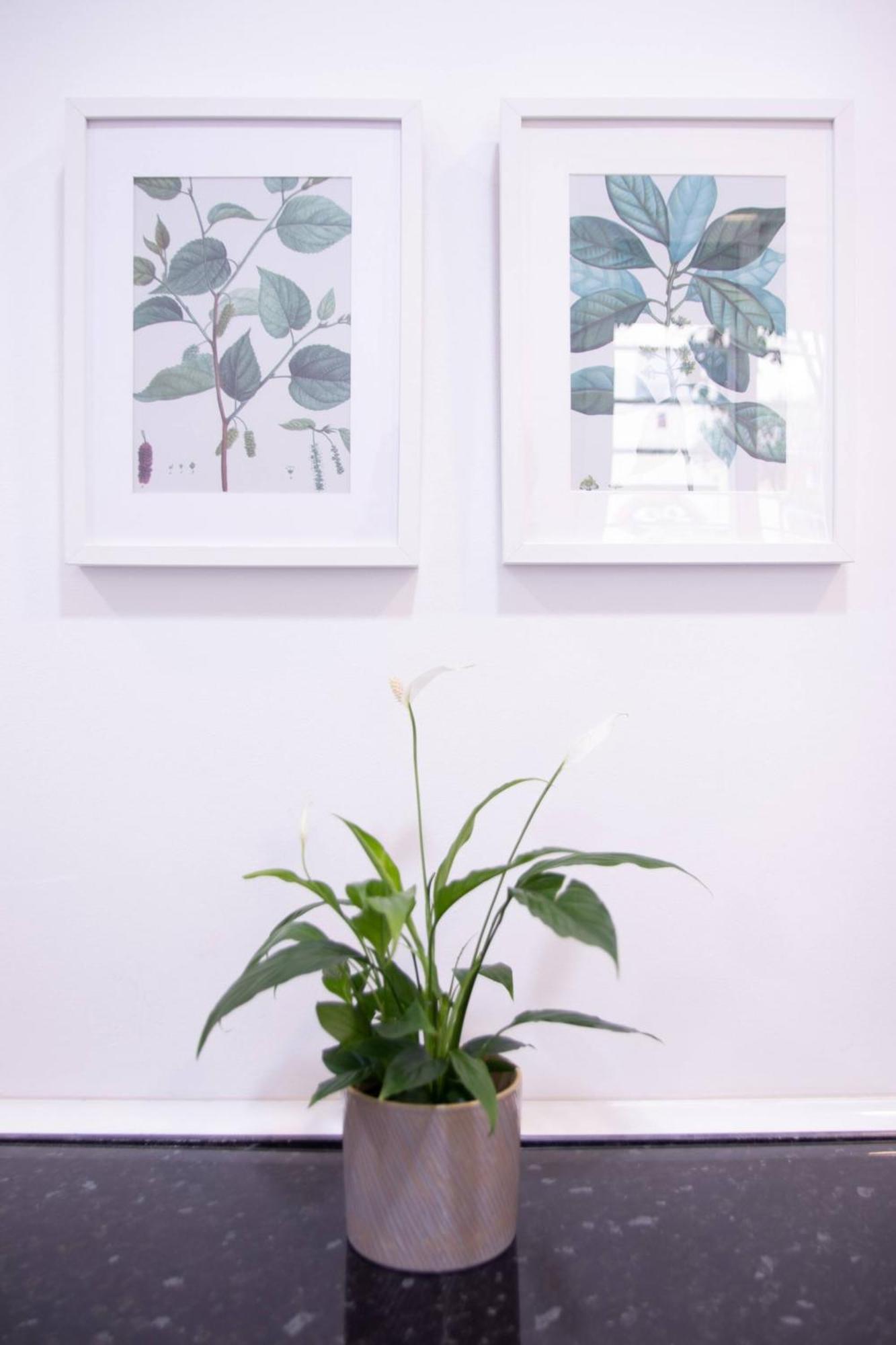 Viveros By Concept Flats Valencia Ngoại thất bức ảnh
